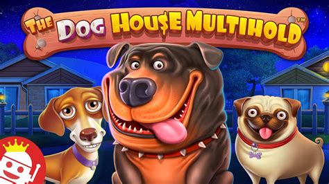 dog house casino game